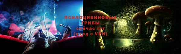 PSILOCYBIN Алзамай