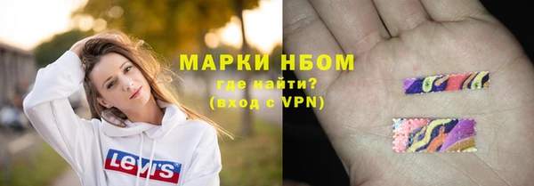 PSILOCYBIN Алзамай
