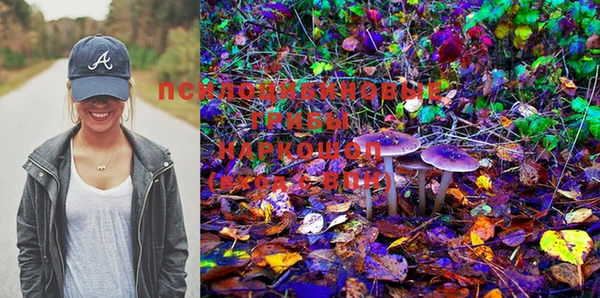 PSILOCYBIN Алзамай