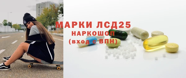 PSILOCYBIN Алзамай