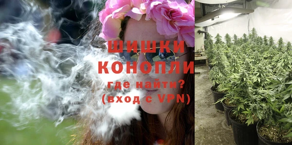 PSILOCYBIN Алзамай