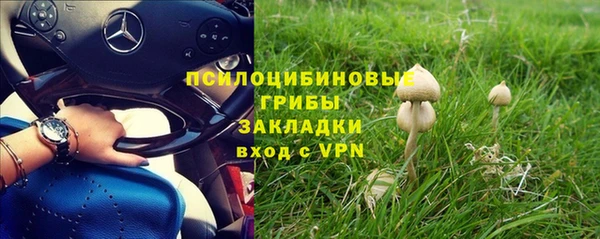 молекула духа Алексин