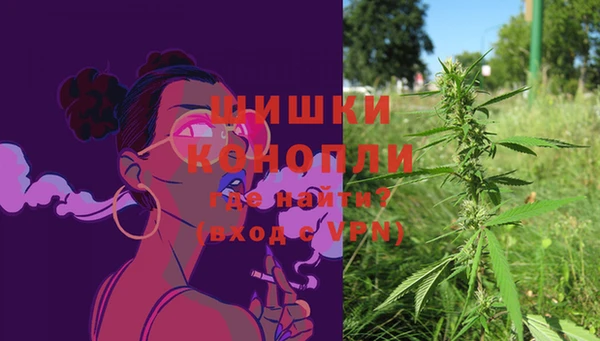 PSILOCYBIN Алзамай