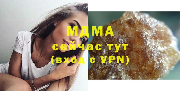 PSILOCYBIN Алзамай