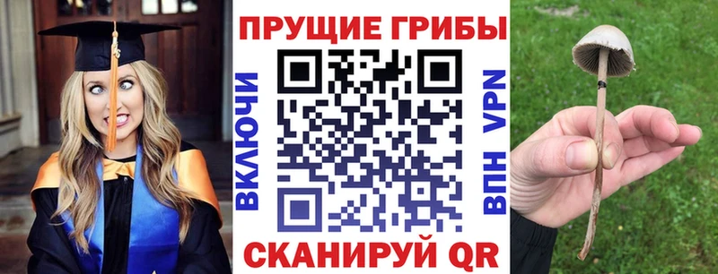 ссылка на мегу вход  shop официальный сайт  Галлюциногенные грибы мухоморы  купить закладку  Волгоград 