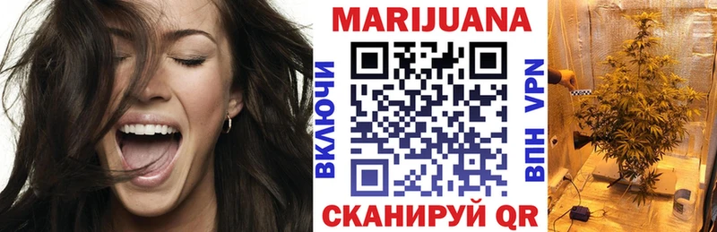 Шишки марихуана планчик Волгоград